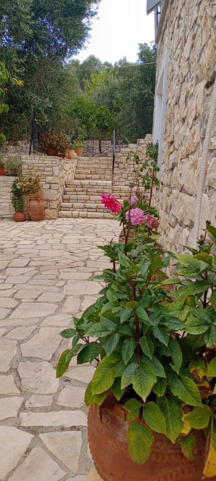 Villa Makris Zenempisatika Εξωτερικό φωτογραφία