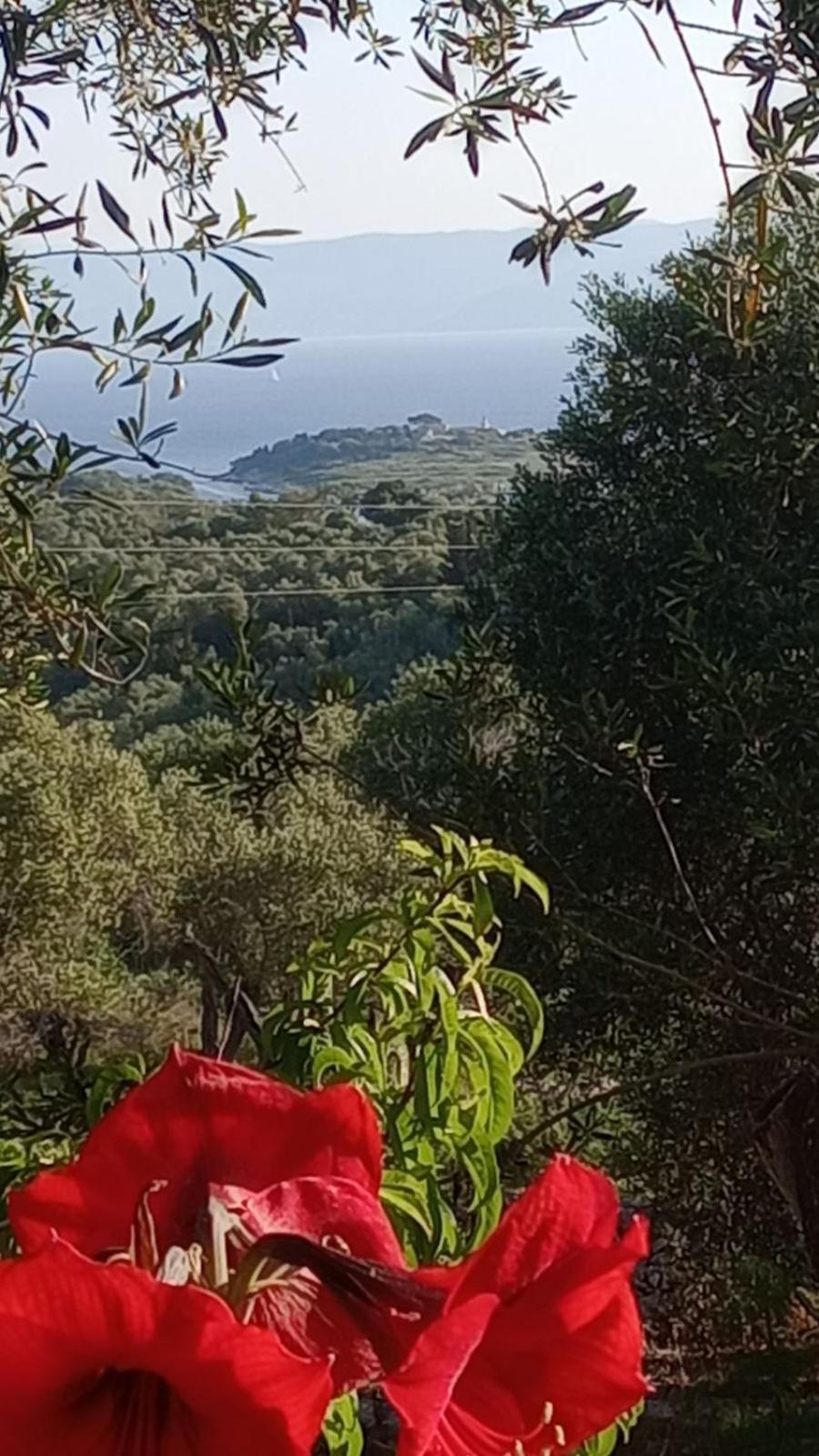 Villa Makris Zenempisatika Εξωτερικό φωτογραφία